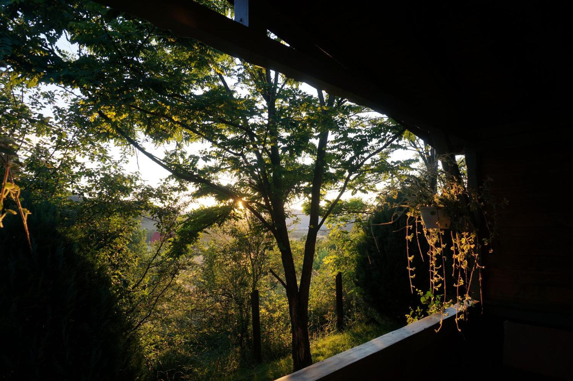 Natura Chalets Praid Exterior photo
